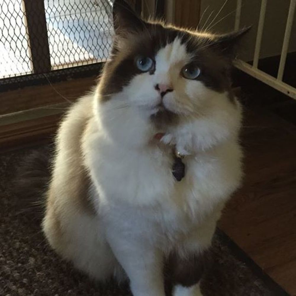 Meet your Posher, Sandy